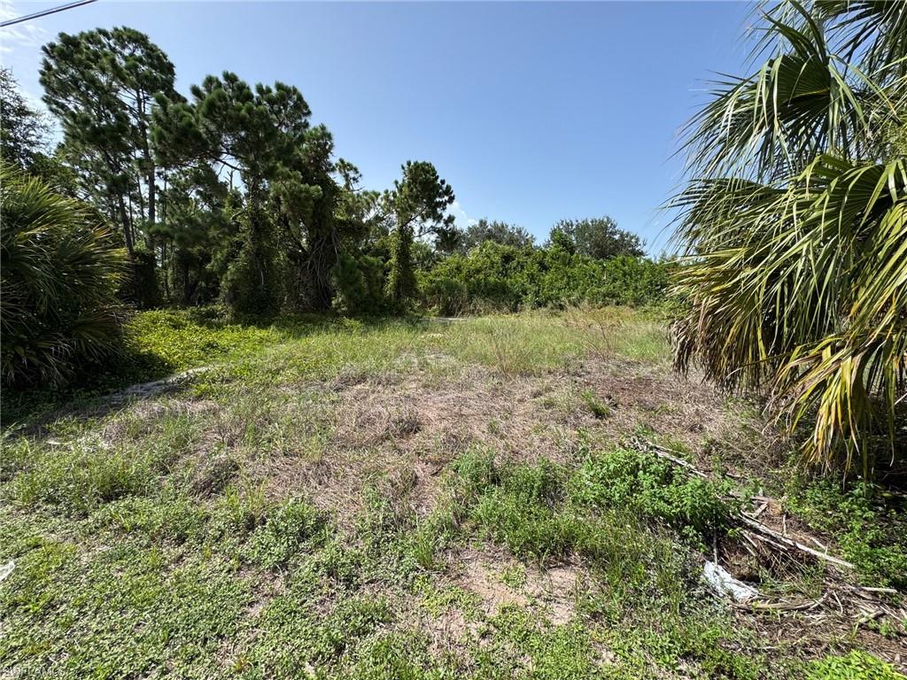 Expansive parcel featuring diverse ground cover and mature trees