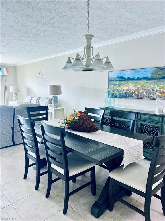 408 Tudor DR 1C photo 9