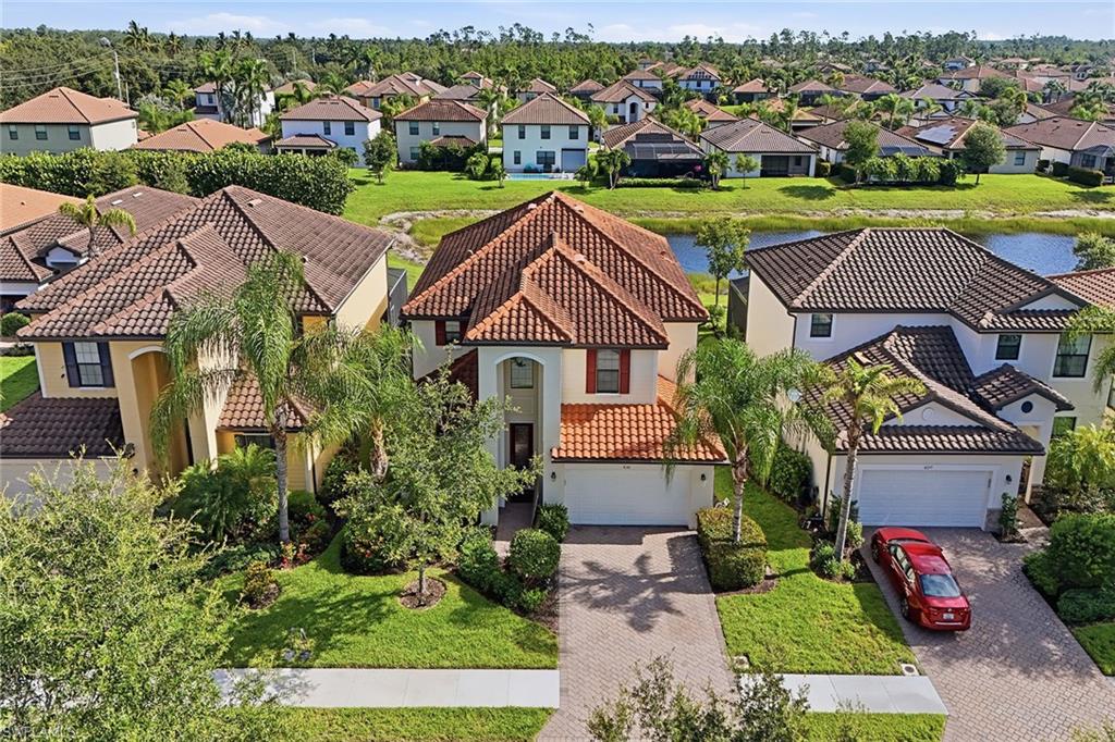 4381 Madagascar Palm WAY