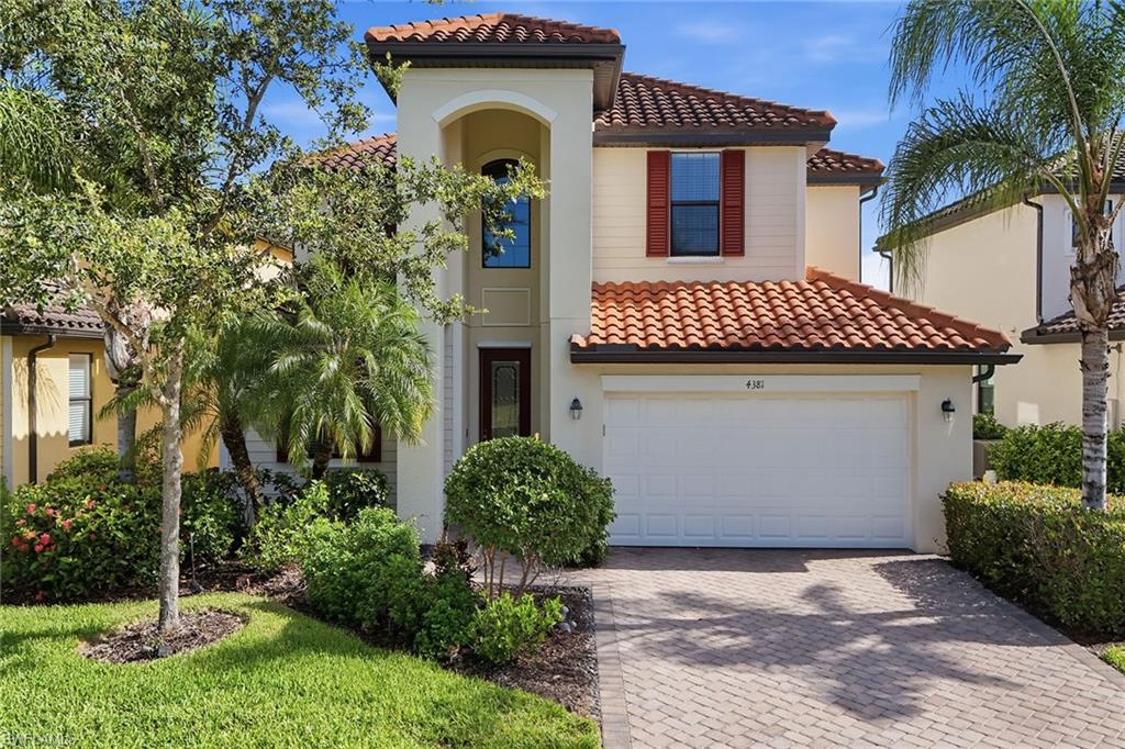 4381 Madagascar Palm WAY