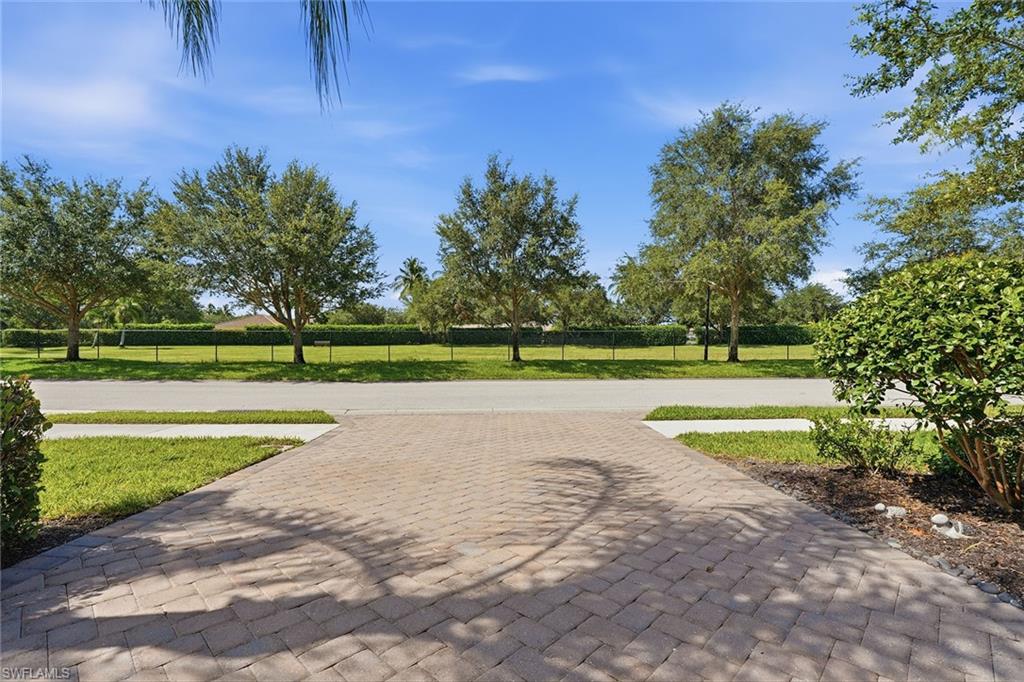 4381 Madagascar Palm WAY photo 41