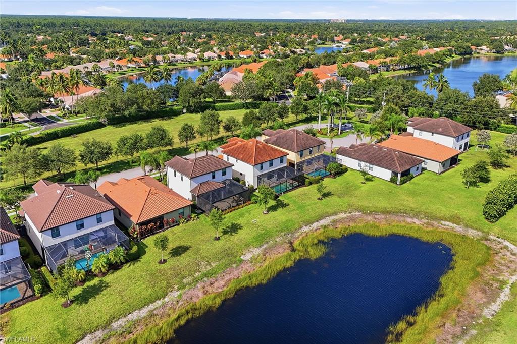 4381 Madagascar Palm WAY photo 40