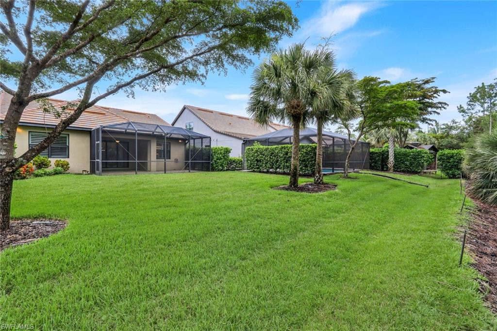 Big backyard