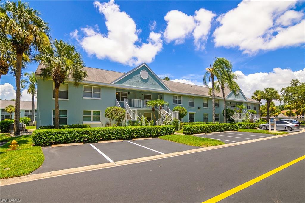 133 Wading Bird CIR 202
