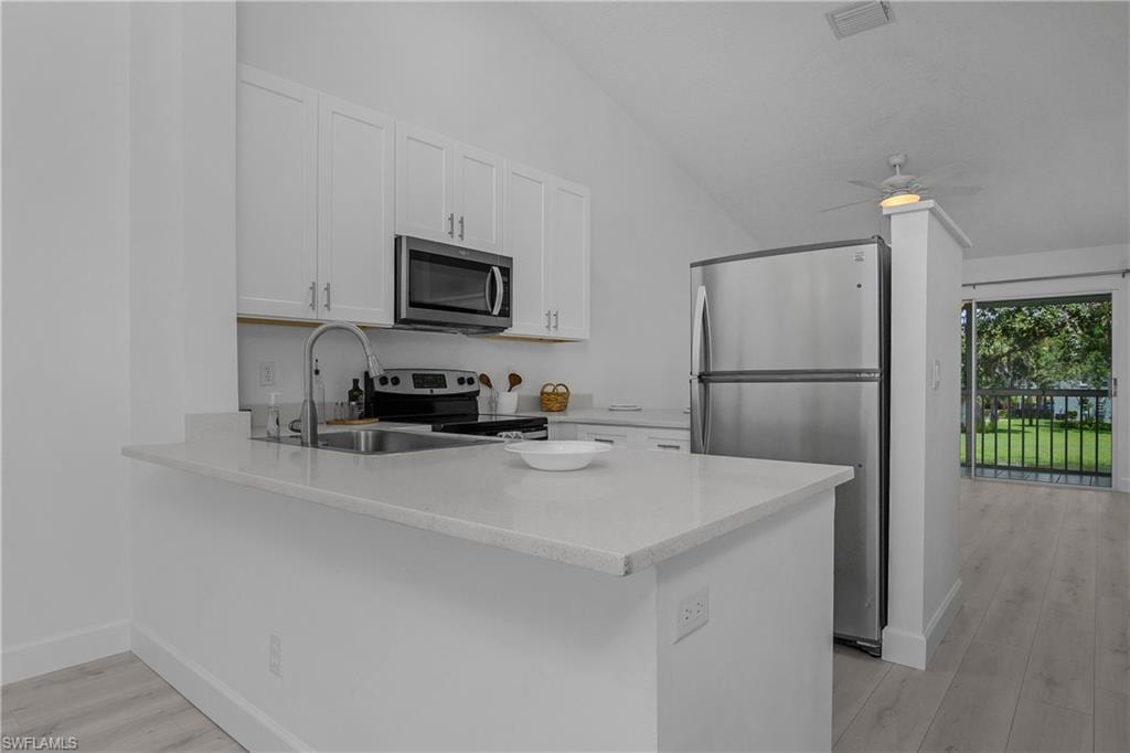 133 Wading Bird CIR 202 photo 6