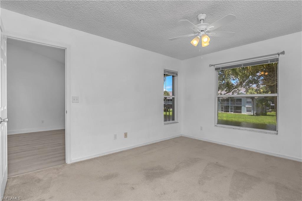 133 Wading Bird CIR 202 photo 17