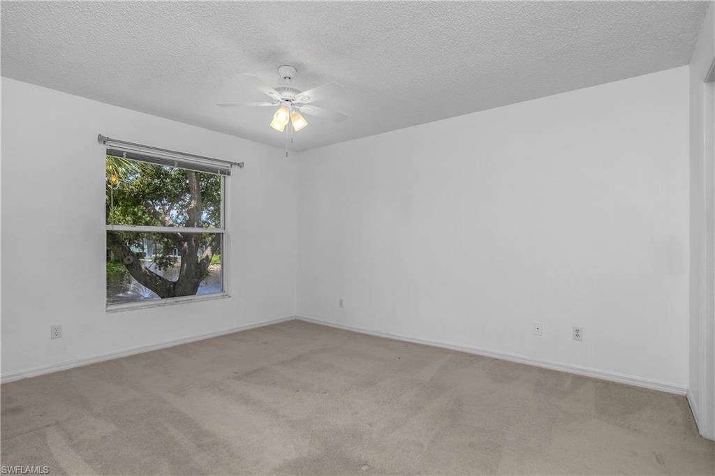 133 Wading Bird CIR 202 photo 16