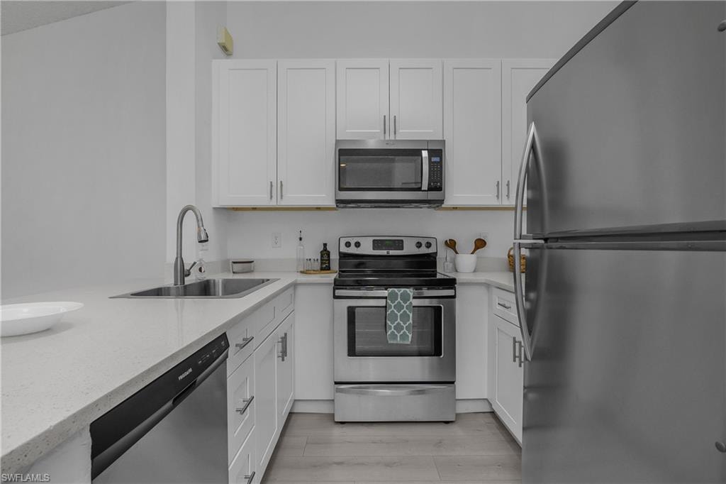 133 Wading Bird CIR 202 photo 7