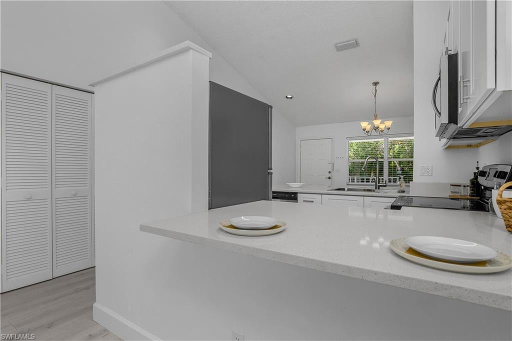 133 Wading Bird CIR 202 photo 10
