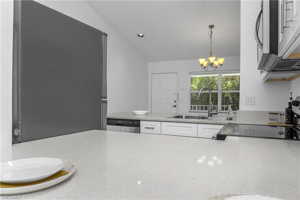 133 Wading Bird CIR 202 photo 11