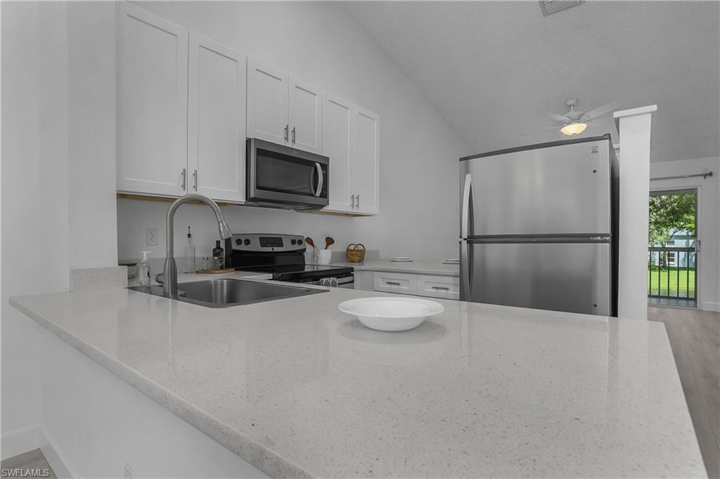 133 Wading Bird CIR 202 photo 8