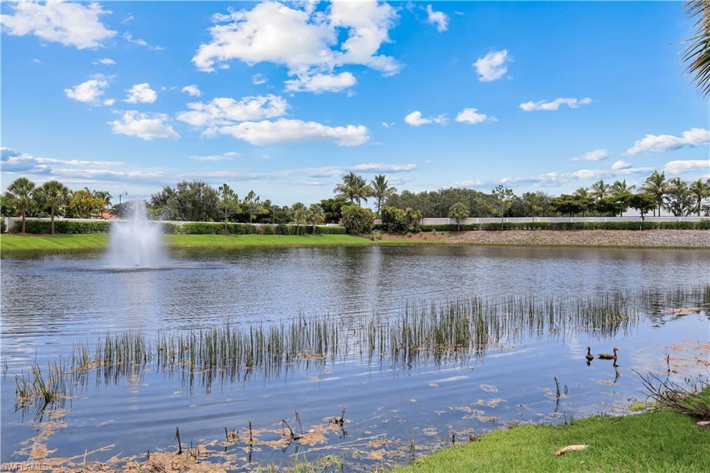 Tranquil waterscape featuring a central fountain, lush green banks.