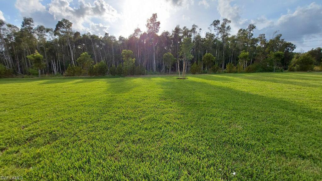 Expansive green lawn extending to a dense perimeter of mature trees