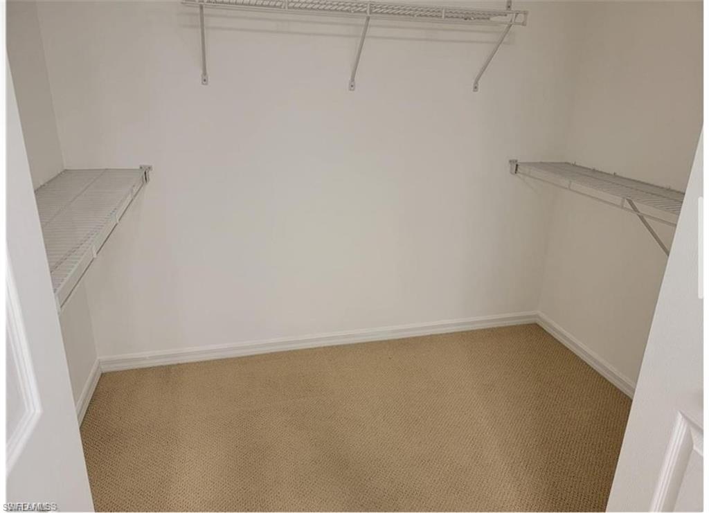 Walk in closet with light carpet
