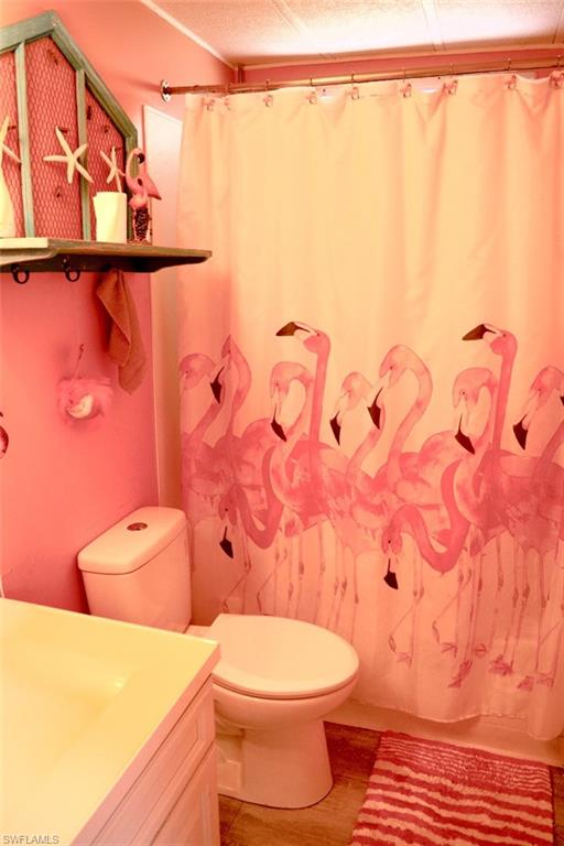 Bathroom featuring a white toilet, light-colored vanity with a white countertop, and wood-look flooring