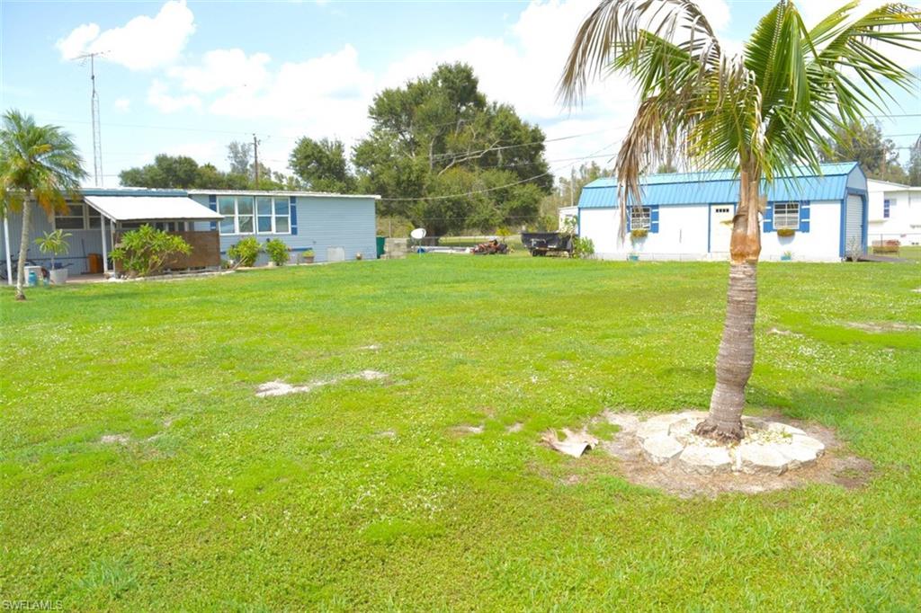 Yard