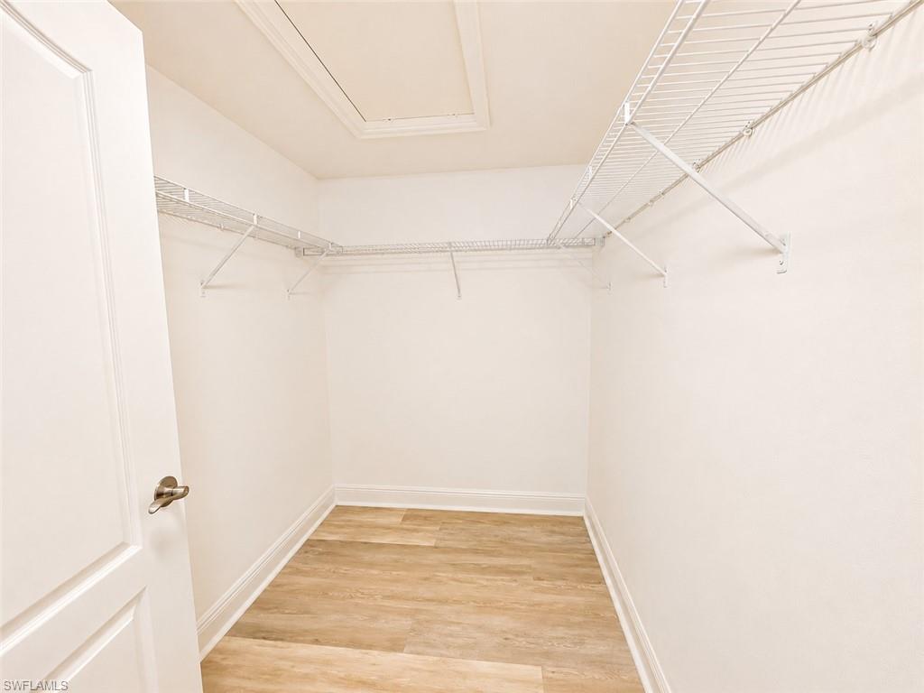Spacious closet featuring wood-finish flooring, white wire shelving, a white paneled door, and a light-colored paint palette