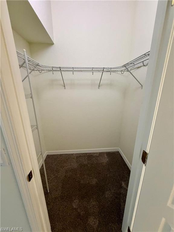 Walk-in closet featuring wire shelving and dark brown carpet flooring