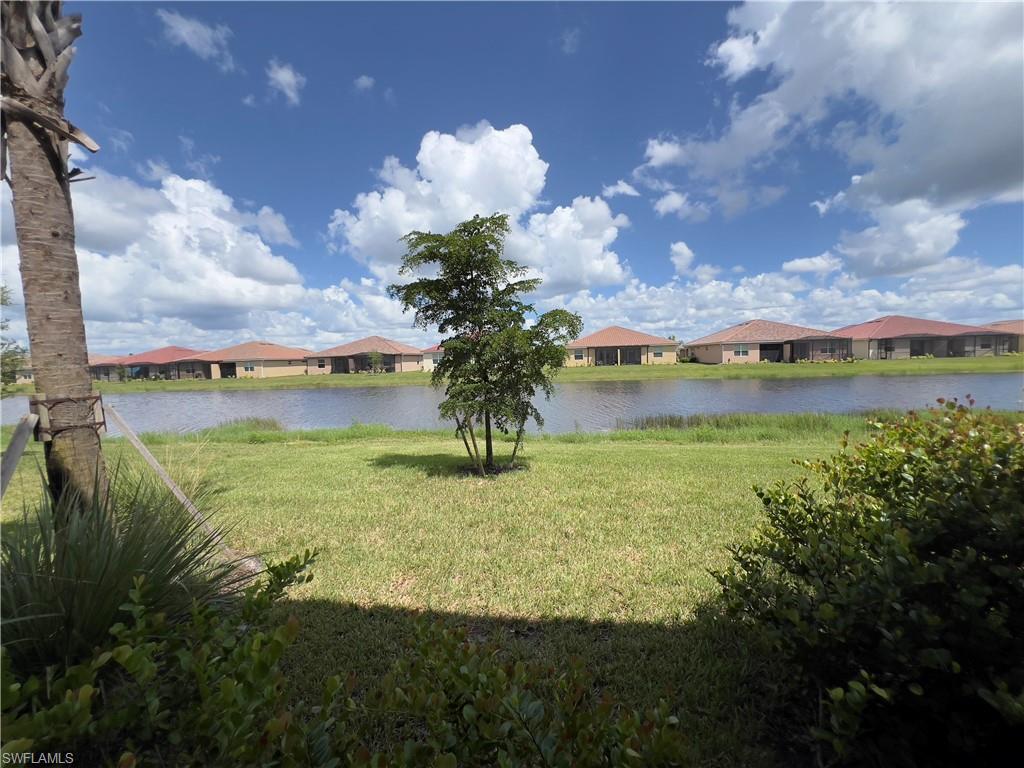 Water view