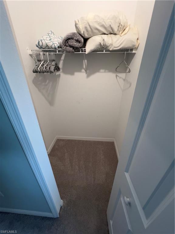 Spacious closet featuring carpet