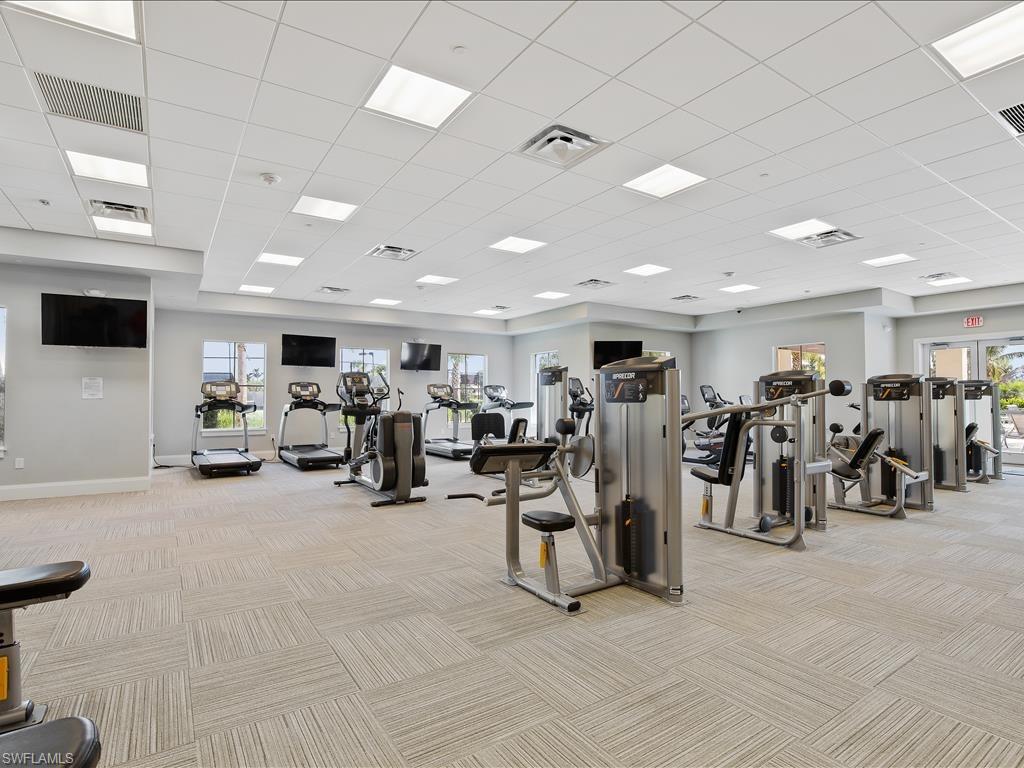 Gym featuring a drop ceiling, plenty of natural light, and light colored carpet