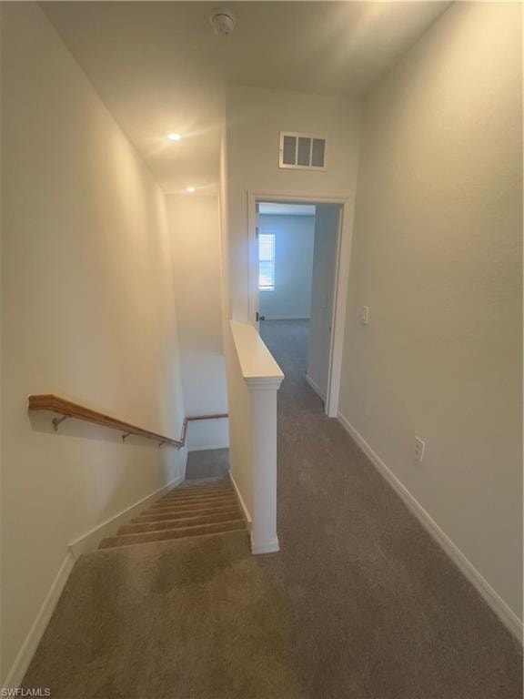 Staircase with carpet