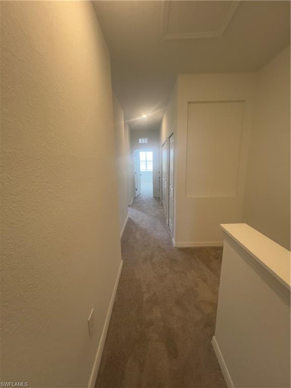 Corridor with carpet floors