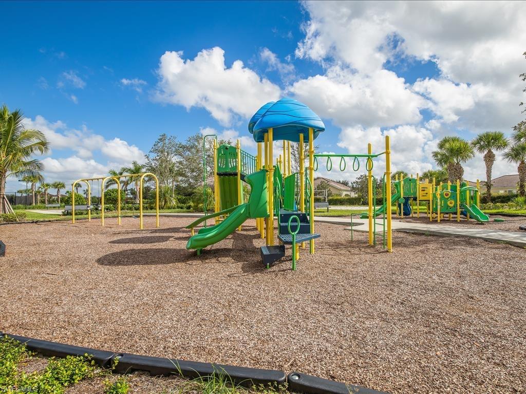 View of jungle gym