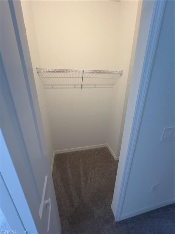 Walk in closet featuring carpet