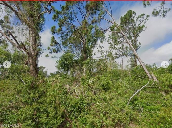 Wooded lot featuring mature trees and abundant natural foliage