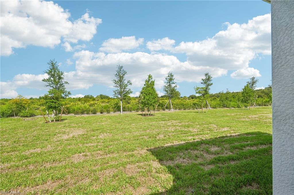 13296 Grassmere CT photo 43