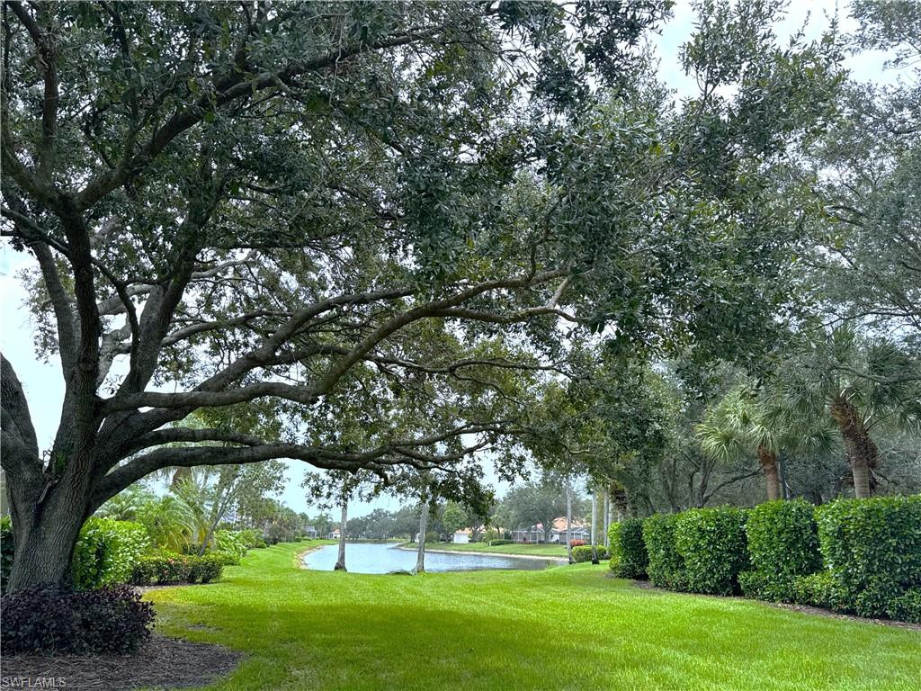 Beautifully landscaped backyard offering a private and serene outdoor setting with lush tropical surroundings and plenty of space to enjoy the Naples lifestyle.
