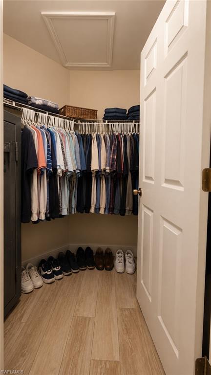 Walk-in closet featuring light wood-finish flooring, white four-panel door, and integrated wire shelving