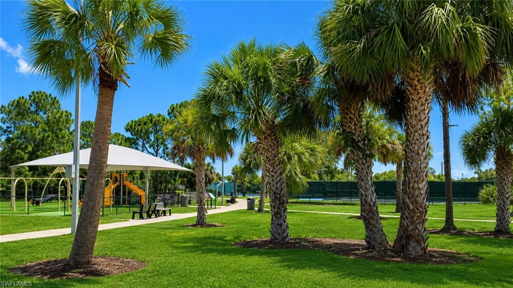 Expansive green space featuring mature palm trees and a covered playground structure with various equipment