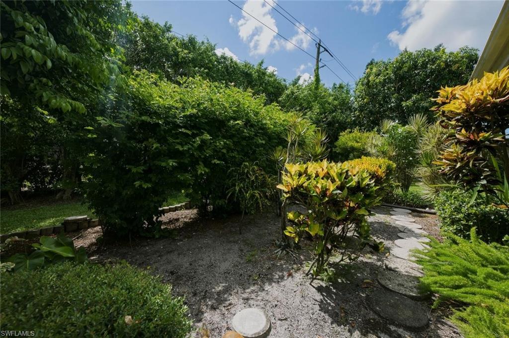 Lush landscaping featuring varied foliage and a stone path