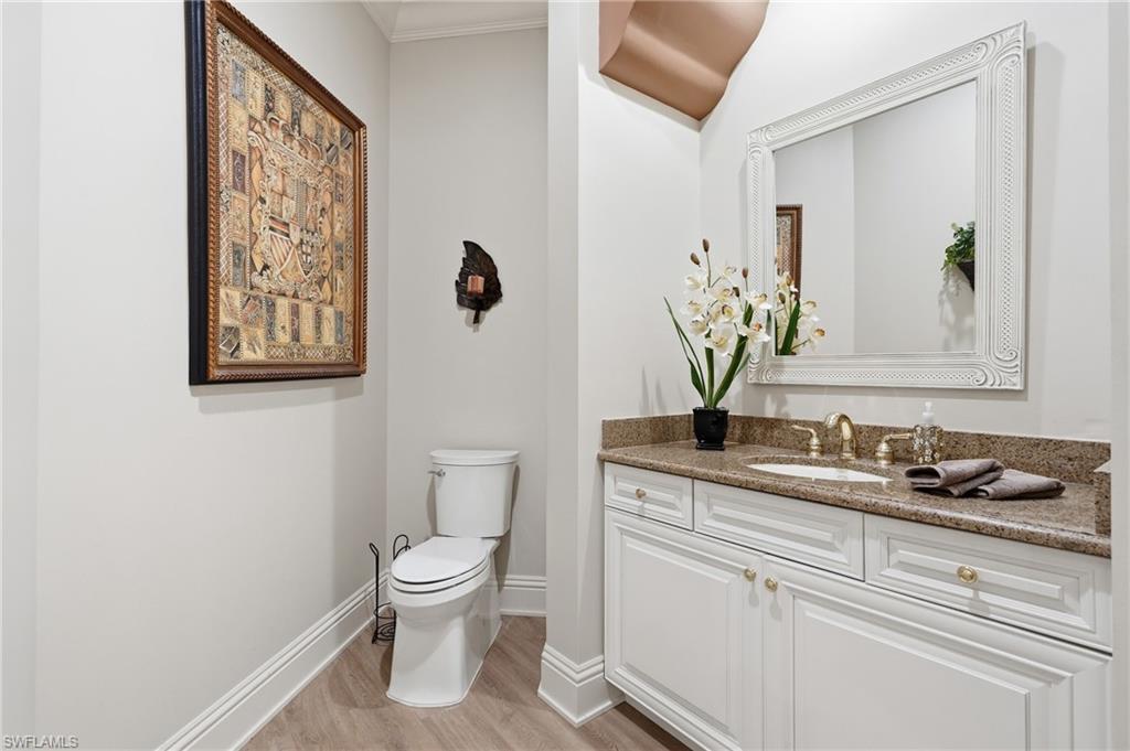 28646 Via D Arezzo DR photo 38