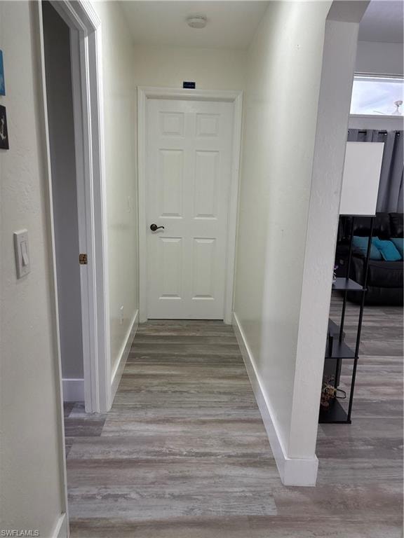 11670 Pine Hammock CIR photo 16