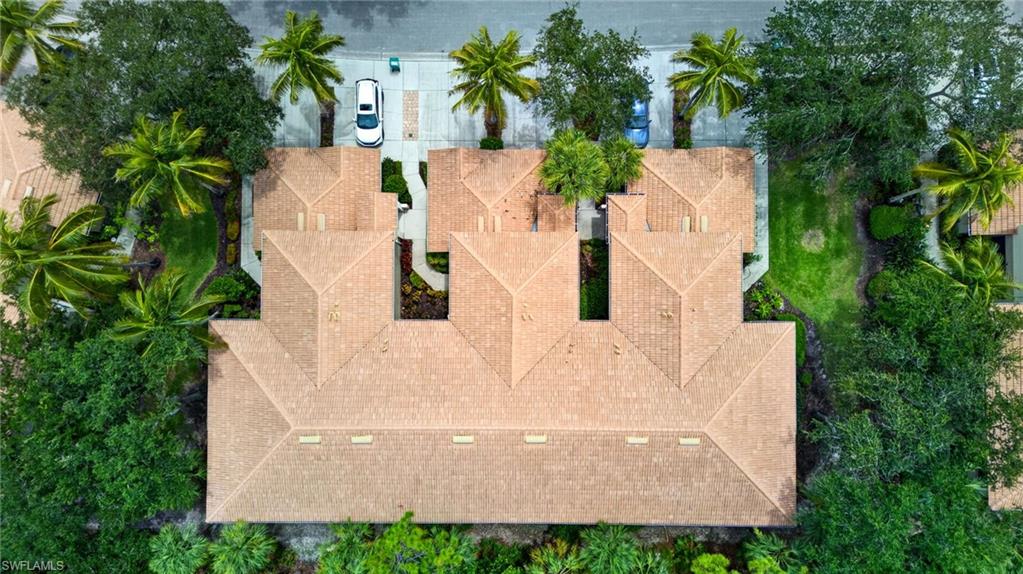 Aerial Overview