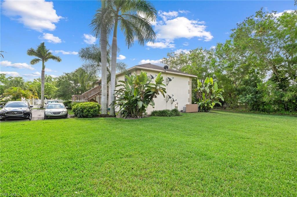 Expansive green lawn with established palm trees and dense perimeter foliage
