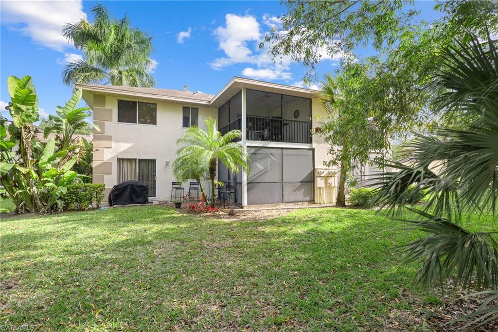 Expansive green lawn with mature tropical landscaping