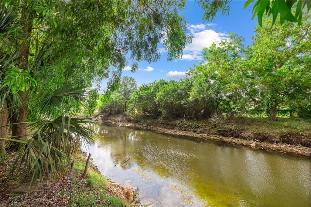 Waterfront property with mature trees and lush vegetation