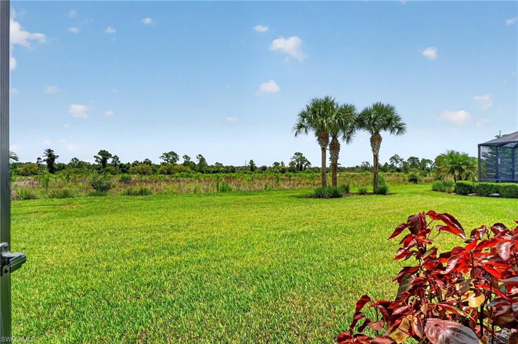 Expansive green lawn with distant natural landscape backdrop