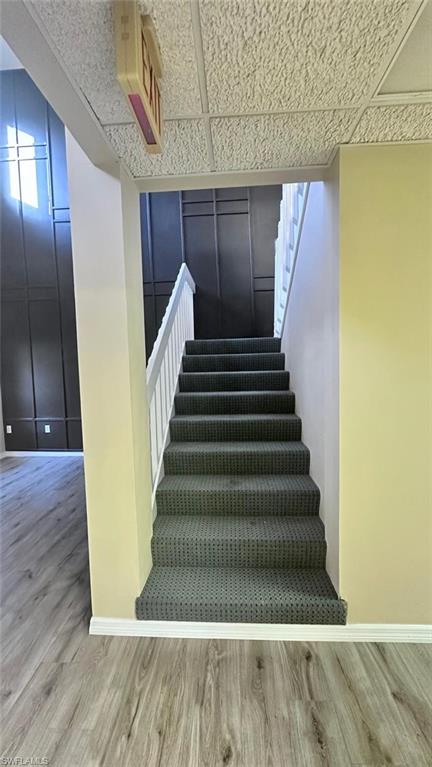 Carpeted staircase with white balusters, wood-finish flooring, light-toned walls, and a paneled accent wall