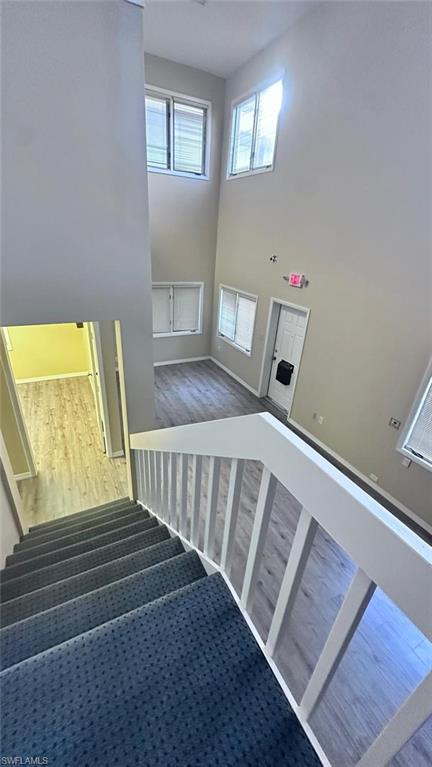 Staircase with carpeted treads and white wood-finish balusters