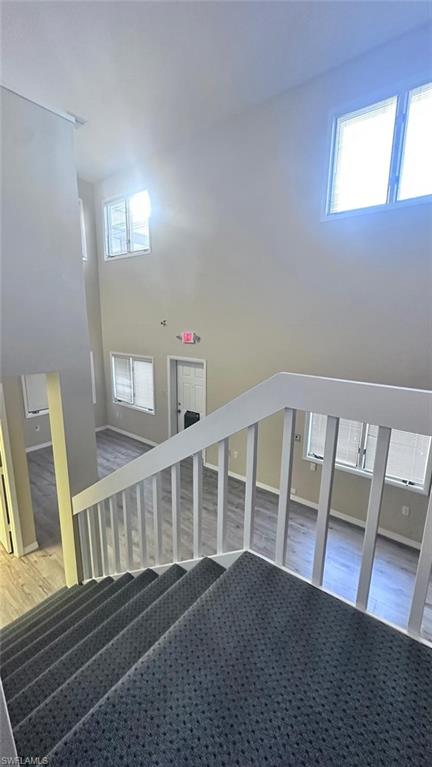 Carpeted staircase with white railings, featuring high ceilings and multiple windows providing natural light