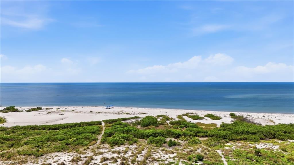 Expansive sandy beachfront with natural vegetation - Virtually Edited Image