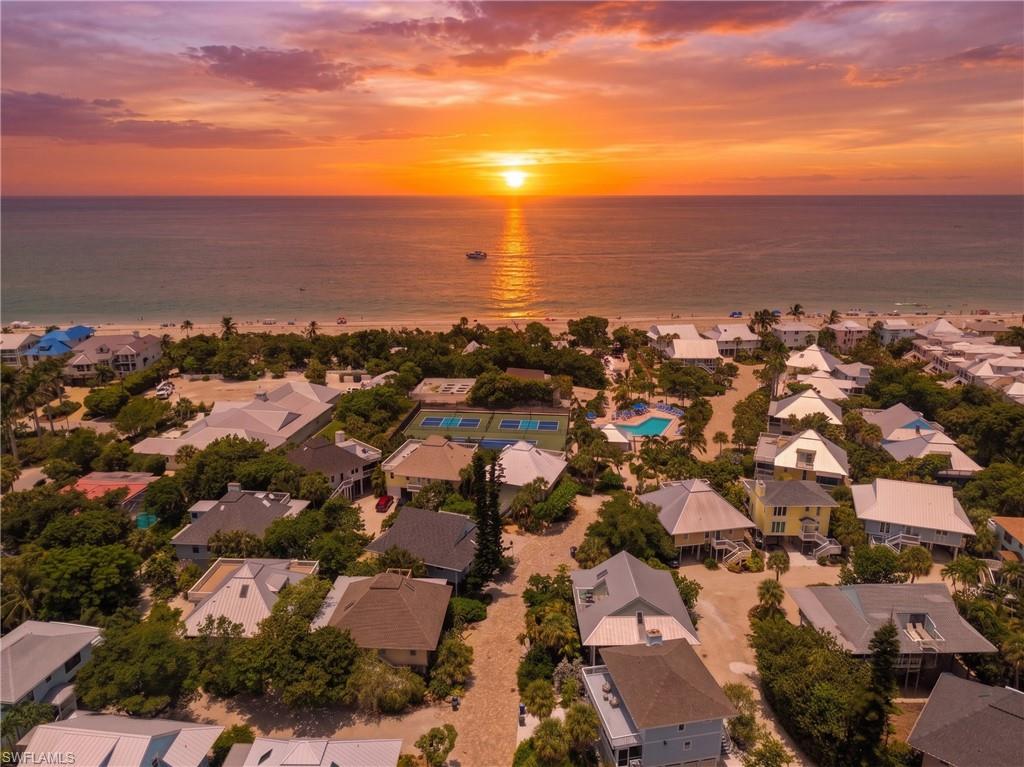 33 Urchin CT photo 43