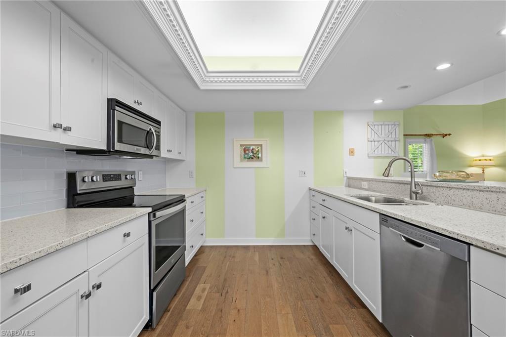 33 Urchin CT photo 12
