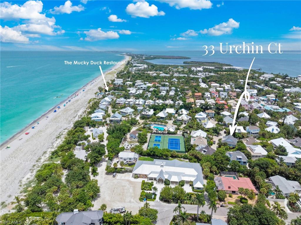 33 Urchin CT