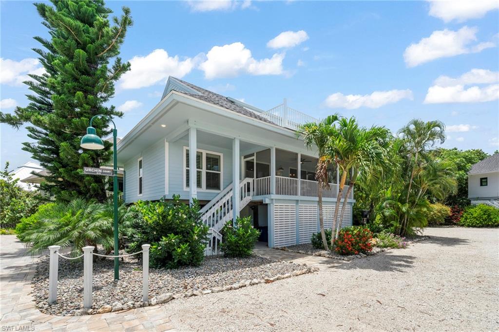 33 Urchin CT photo 36